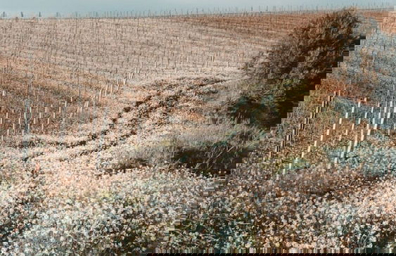 Colle San Mauro - Foto 79