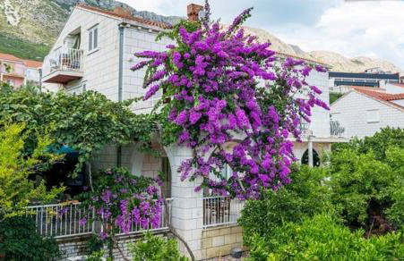 Apartments Husanovic - Foto 19