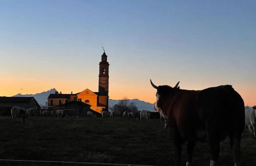 Beinalot Country House - Foto 37