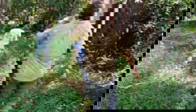 Percorrendo a floresta amazônica