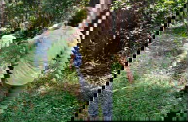 Trilha pela floresta amazônica - Foto 5