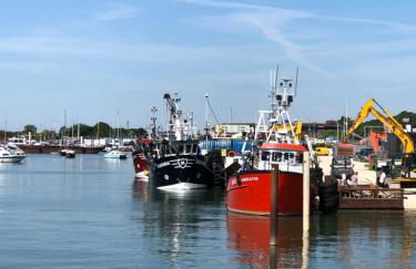 Stunning sea views from rooms and terraces - Foto 1