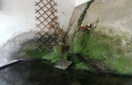 Quinta Rural - Nossa Sra do Carmo. Teixoso - Foto 28