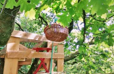 Le nid dans le chêne - Photo 8