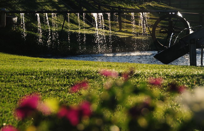 Recanto Alvorada Eco Resort - Photo 68