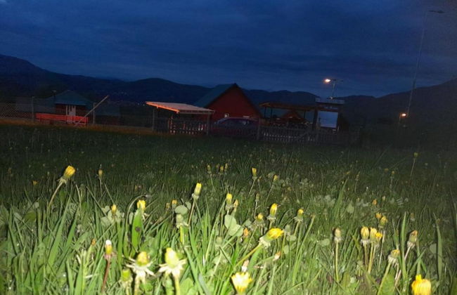Eco Village Mojkovac - Foto 24