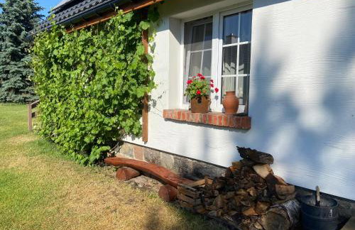 Domek nad jeziorem Bory Tucholskie las jeziora wakacje weekend Błądzim - Foto 13