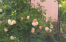 Ferienwohnung Sommer - Photo 2