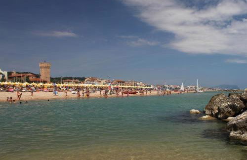 Stella di mare - Foto 22