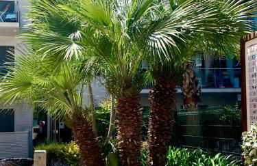 Apartamentos Jardín Turquesa - Foto 30