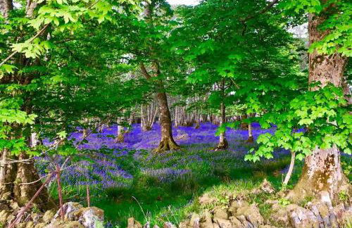 Cosy Karibu cottage with stunning canal views - Foto 18