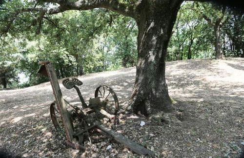 Agriturismo - Collina Toscana Resort - Foto 67