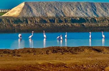 Garden Apartment Quinta do Morgado - Foto 51