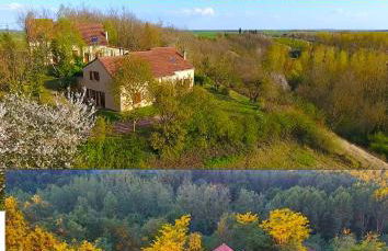 Domaine la butte de Lauray - Photo 37