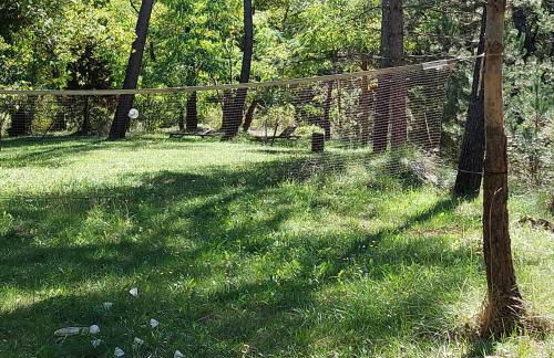 Freundliches Haus mit Pool und großem Garten - Foto 9