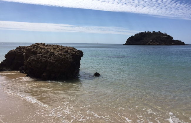 Vila Sao & Pompeia - Photo 37