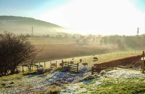 Llwyn-Y-Coed-Isaf - Foto 26