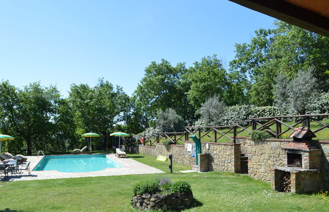 A spasso tra gli ulivi - Foto 4