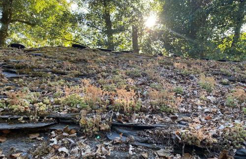 Casa Vilachá - Ribeira Sacra - Foto 47