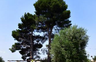 IL TRULLO BIANCO - Country House & SPA - Foto 39