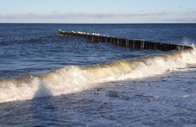 Seeseite 100m - Foto 25