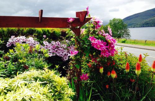 Hillview Guest House - Foto 59