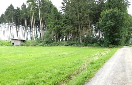 FeWo Harling - Waldoase - Foto 25