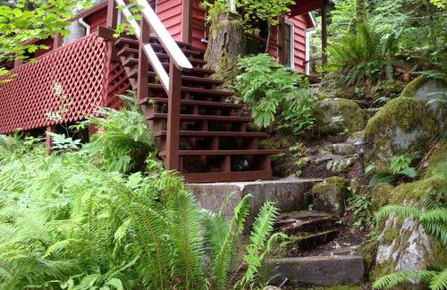 Pet-Friendly Cabin Rental Overlooking a River near Skykomish, Washington - Foto 15