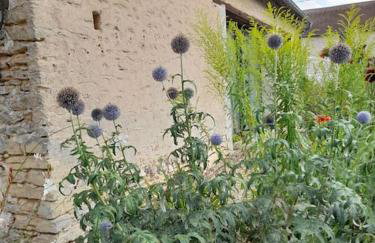 La Closerie gîte de charme près de Giverny - Foto 35