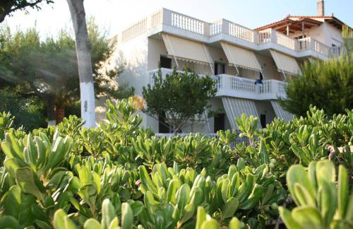 Posidonia Pension - Photo 43
