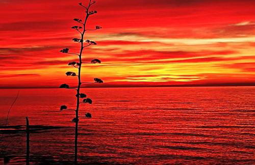 MIRANDO AL MAR - Foto 31