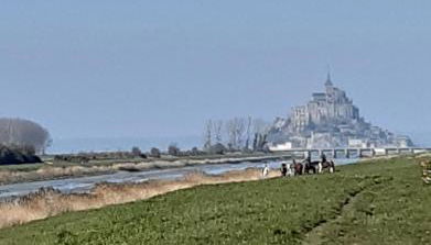 maison de vacances baie du Mont Saint Michel - Foto 2