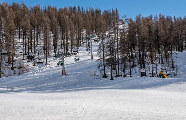 Jouvenceaux - Photo 40