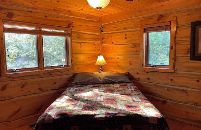 Fish Tails - Photo 4