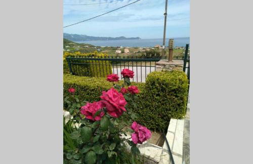 villa roses-mourteri - Foto 31