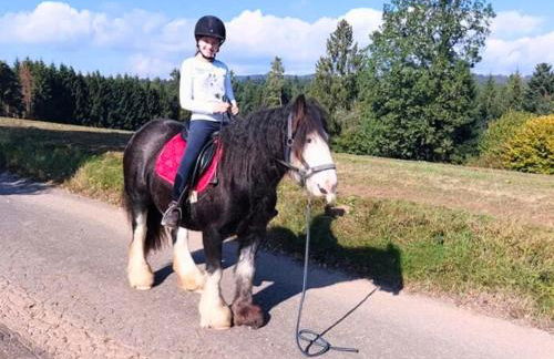 Schweizerblick - Denkmalgeschützes Haus in ruhiger Lage - großer Garten und mit Charme eingerichtet - ideal für Familien, Paare & Hund - Foto 48