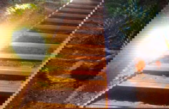 Campismo Ninho 23 - Photo 18