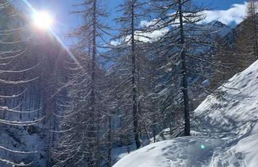 Miri Apartment - Foto 14