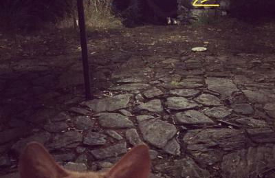 O Muíño da Balsiña - Foto 26