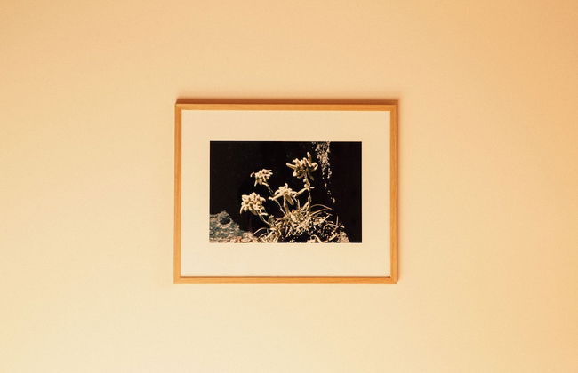 Tanafreida Apartments - Foto 41