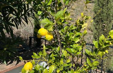 Casa Eve - Beautiful Villa & Heated - Pool to Yourself - Foto 32