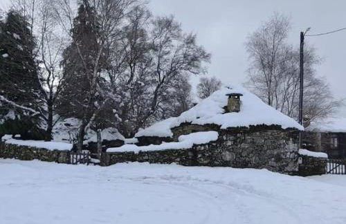 Cardenha das Formiguinhas - Foto 1