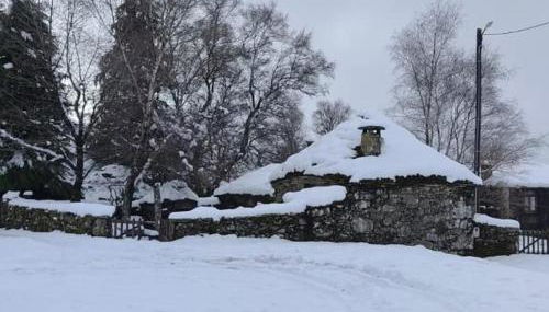 Cardenha das Formiguinhas - Foto 1