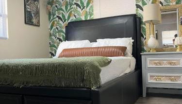 Tropical Casita in Tampa near airport and Raymond James stadium - Foto 3