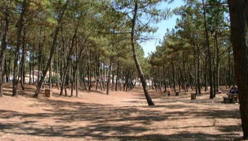 Maison bord de mer - Photo 4