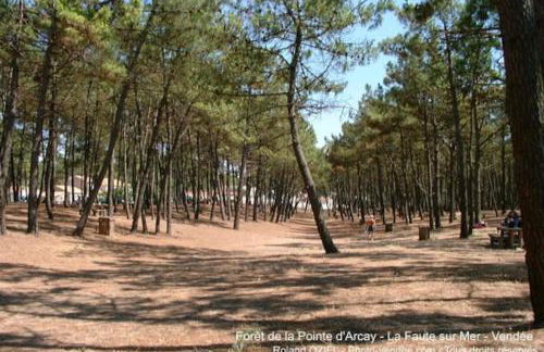 Maison bord de mer - Foto 4