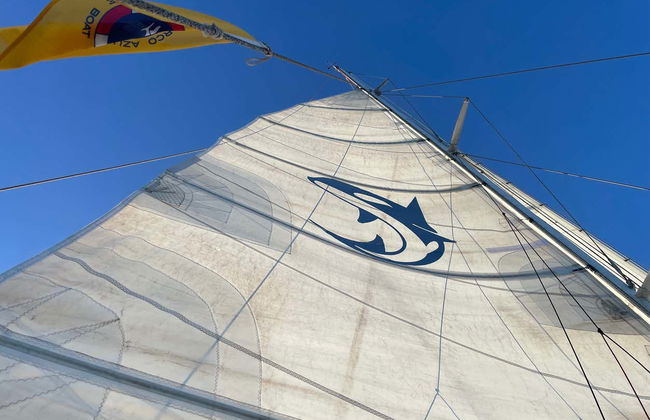 Whale & Dolphin Watching in Puerto Calero - Photo 4