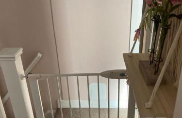 The Wild Daisy - Foto 24