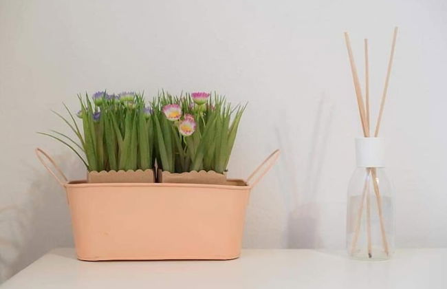 Camere Nicolina 3 - Foto 4