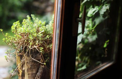 Rustic apartment Hidden - Photo 29